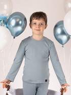 Дитяча футболка з довгими рукавами для хлопчика Nicol 205140 86 см Сіра (5905601016076) - зображення 4