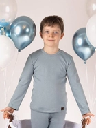 Дитяча футболка з довгими рукавами для хлопчика Nicol 205140 92 см Сіра (5905601016083) - зображення 4