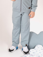 Młodzieżowe spodnie dresowe chłopięce Nicol 205275 140 cm Szare (5905601017059) - obraz 1