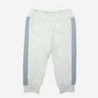 Дитячі спортивні штани для новонароджених для хлопчика Nicol 205277 56 см Сірі (5905601017196) - зображення 1