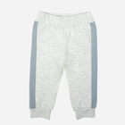 Дитячі спортивні штани для хлопчика Nicol 205277 98 см Сірі (5905601017264) - зображення 1