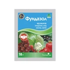 Фунгіцид Фундазол 10 г Сімейний сад (2 сотки) (01597)