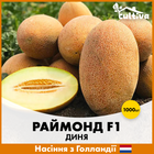 Голландские семена Hazera Дыня Раймонд F1 1000 шт