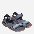 Чоловічі сандалії для трекінгу Adidas Terrex Hydroterra ID4271 46 Сірі (4065432655255) - зображення 2