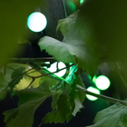 Girlanda LED Lite Bulb Moments Smart Light Chain kulka 3 cm (NSL911991) - obraz 6