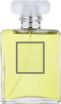 Парфумована вода для жінок Chanel No.19 Poudré EDP W 100 мл (3145891194906) - зображення 1