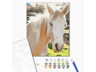 Картина по номерам Белая лошадь, Brushme (40х50 см), BS52518