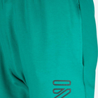 Дитячі спортивні штани для хлопчика Tup Tup PIK4050-5010 98 см Бірюзові (5901845292689) - зображення 3