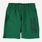 Дитячі шорти для хлопчика Tup Tup PIK4120-5000 116 см Зелені (5907744044381) - зображення 1