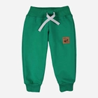 Дитячі спортивні штани для хлопчика Tup Tup PIK9010-5000 104 см Зелені (5901845299510) - зображення 1