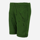 Підліткові шорти для хлопчика Tup Tup PIK4110-5010 140 см Зелені (5901845277013) - зображення 1