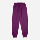 Підліткова піжама для дівчинки Tup Tup P309DZ-2520 140 см Сіра/Фіолетова (5907744014391) - зображення 3