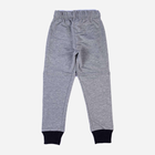 Підліткові спортивні штани для хлопчика Tup Tup PIK4071-8010 140 см Сірі (5907744052287) - зображення 2