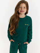 Дитячий спортивний костюм (світшот + штани) для дівчинки Tup Tup 101401-5000 110 см Зелений (5907744490645) - зображення 3