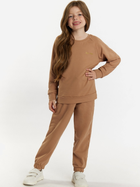Дитячий спортивний костюм (світшот + штани) для дівчинки Tup Tup 101405-1070 104 см Світло-коричневий (5907744491031) - зображення 1