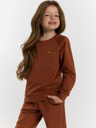 Дитячий спортивний костюм (світшот + штани) для дівчинки Tup Tup 101406-4620 134 см Коричневий (5907744491185) - зображення 3