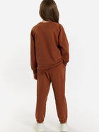 Підлітковий спортивний костюм (світшот + штани) для дівчинки Tup Tup 101406-4620 140 см Коричневий (5907744491192) - зображення 2