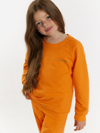 Дитячий спортивний костюм (світшот + штани) для дівчинки Tup Tup 101408-4610 110 см Оранжевий (5907744491345) - зображення 3