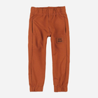 Spodnie dresowe dziecięce dla chłopca Tup Tup PIK4060-4620 122 cm Brązowe (5907744498467) - obraz 1