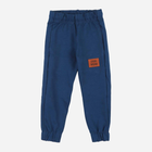 Підліткові спортивні штани для хлопчика Tup Tup PIK4060-3120 164 см Сині (5907744498771) - зображення 1