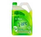 Зимний стеклоомыватель TEMOL Winter ScreenWash (4 л) Зеленое Яблоко (41055)