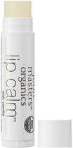 Balsam do ust John Masters Organics Lip Calm Vanilla 4 g (0669558600515) - obraz 1