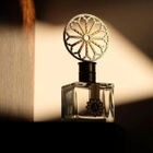 Perfumy unisex Angela Ciampagna Hatria Collection Ducalis 100 ml (8437020930024) - obraz 3