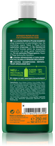 Szampon do odbudowy włosów Logona Repair & Care Shampoo 250 ml (4017645019720) - obraz 2