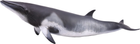 Figurka Collecta Minka Whale XL 20 cm (4892900888620) - obraz 1