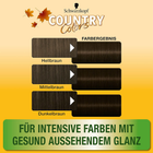 Крем-фарба для волосся Schwarzkopf Professional Country Colors Tint Brazil Dark Brown 70 123 мл (4015000523691) - зображення 2
