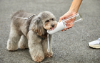 Podróżna butelka dla psa PETKIT Eversweet Travel P4230 White (6931580104045) - obraz 4