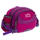 Сумка поясна COLOR LIFE WAIST BAG TY-5335 Фіолетовий-Малиновий