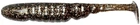 Силікон Bait Breath TTShad 4" (6 шт) (S846 Green pumpkin/Silver)