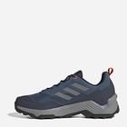 Чоловічі кросівки для треккінгу Adidas Terrex Eastrail 2 HP8608 44 Темно-сині (4066749948818) - зображення 3
