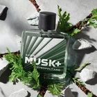 Мужская туалетная вода Avon Musk Metropolitano