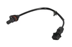 Датчик коленвала Delphi SS11329 Hyundai Santa Fe, IX35, Sonata; KIA Carens, Sportage, Magentis 3918025300