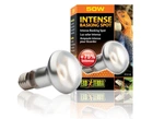 Лампа Hagen Exo Terra Intense Basking Spot S20/50W денна Е27 для теплолюбних рептилій