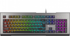 Клавіатура дротова Genesis Rhod 500 RGB USB Silver/Black (NKG-1617) - зображення 1