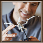 Конструктор LEGO Ideas Кістки динозавра 910 деталей (21320) (5702016615586) - зображення 7