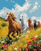 Картина по номерам Полевая гармония ©art_selena_ua 40x50 KHO6597 Идейка