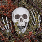 Фігурка Mikamax Скелет у натуральну величину 170 см (8719481357559) - зображення 5