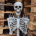 Фігурка Mikamax Скелет у натуральну величину 170 см (8719481357559) - зображення 7