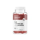 Жироспалювач OstroVit CLA + Green tea + L-carnitine