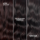 Шампунь для волосся Redken Color Extend Magnetics 300 мл (3474636920167) - зображення 4