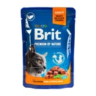 Вологий корм для кішок Brit Premium Salmon for Sterilised 100 г