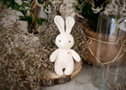 Іграшка для дітей InnoGIO GIOPlush GIO Bunny Cuddly GIO-823 (5903317816874) - зображення 6