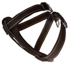 Шлея для собак Ezydog Harness Neoprene Black M 46-73 см (5708214102057) - зображення 1