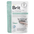 Влажный корм Brit VD Urinary and Stress Relief с индейкой 85 г