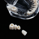Модель стоматологічна демонстраційна - изображение 2