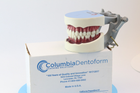 Модель стоматологічна Columbia Dentoform тренувальна для фантома - зображення 3
